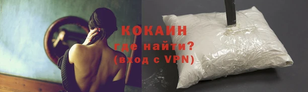 бошки Арсеньев