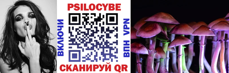 наркота  Минусинск  Псилоцибиновые грибы Psilocybine cubensis 